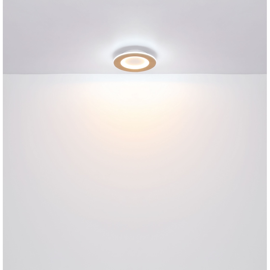 Globo - LED Stropné svietidlo LED/23W/230V
