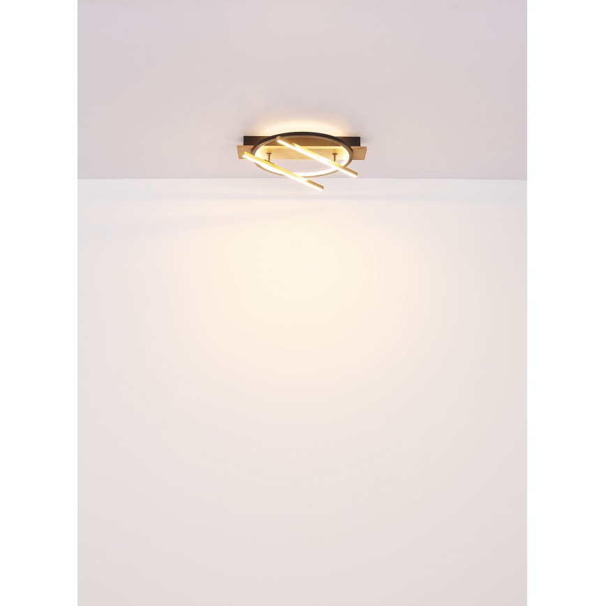 Globo - LED Stropné svietidlo LED/32W/230V