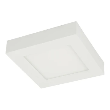 Globo - LED Stropné svietidlo LED/12W/230V