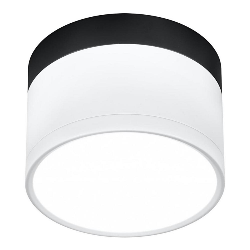 LED Bodové svietidlo TUBA LED/9W/230V biela/čierna
