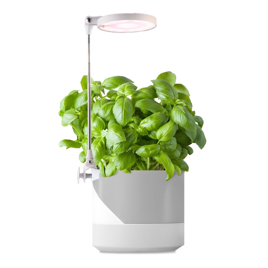 LED Interiérová lampa na pestovanie rastlín LED/10W/5V 3200K