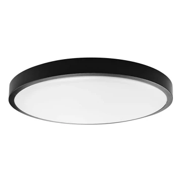 LED Kúpeľňové stropné svietidlo LED/18W/230V 6500K IP44 čierna