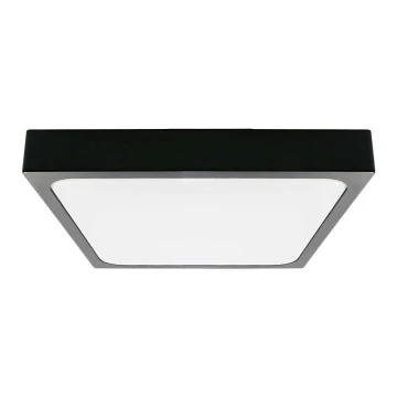 LED Kúpeľňové stropné svietidlo LED/24W/230V 6500K IP44 čierna