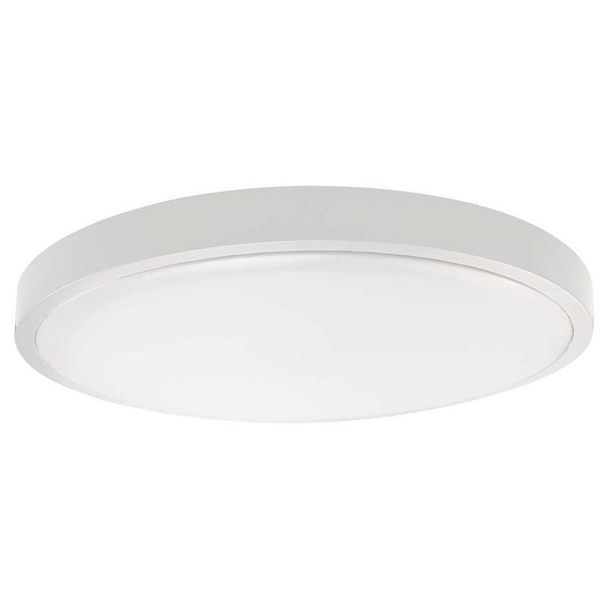 LED Kúpeľňové stropné svietidlo LED/24W/230V IP44 6500K pr. 29 cm biela