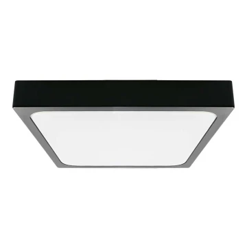 LED Kúpeľňové stropné svietidlo LED/30W/230V 3000K IP44 čierna