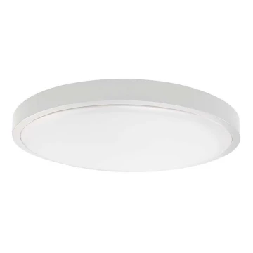 LED Kúpeľňové stropné svietidlo LED/36W/230V 4000K IP44 biela