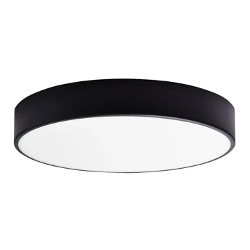 LED Kúpeľňové stropné svietidlo RENE LED/15W/230V IP44 čierna
