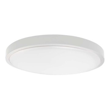 LED Kúpeľňové stropné svietidlo SAMSUNG CHIP LED/18W/230V IP44 6500K pr. 25 cm biela