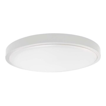 LED Kúpeľňové stropné svietidlo SAMSUNG CHIP LED/24W/230V IP44 6500K pr. 29 cm biela