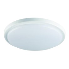 LED Kúpeľnové stropné svietidlo so senzorom ORTE LED/18W/230V IP54