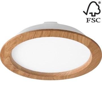 LED Podhľadové svietidlo WOODY SPOT LED/23,5W/230V 4000K dub ø 23,5 cm