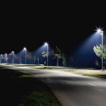 LED Pouličná lampa SAMSUNG CHIP LED/30W/230V 6500K šedá