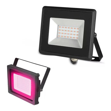 LED Reflektor LED/20W/230V IP65 ružové svetlo