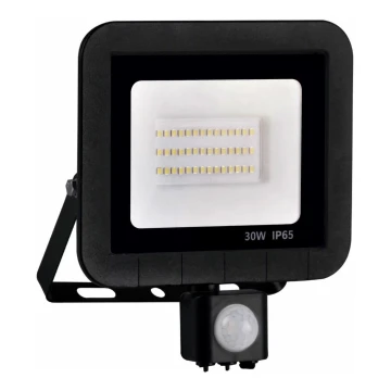 LED reflektor so senzorom LED/30W/230V IP65