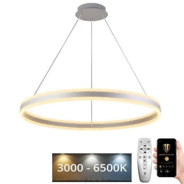 LED Stmievateľný luster na lanku LED/110W/230V 3000-6500K + diaľkové ovládanie