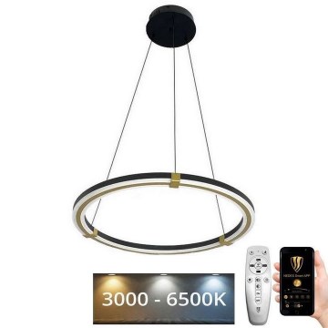 LED Stmievateľný luster na lanku LED/75W/230V 3000-6500K + diaľkové ovládanie