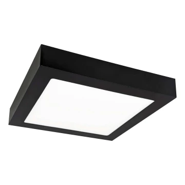 LED Stropné svietidlo FENIX LED/12W/230V 2800K 17 cm