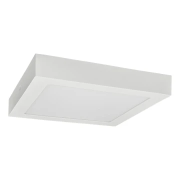 LED Stropné svietidlo FENIX LED/12W/230V 3800K 17 cm