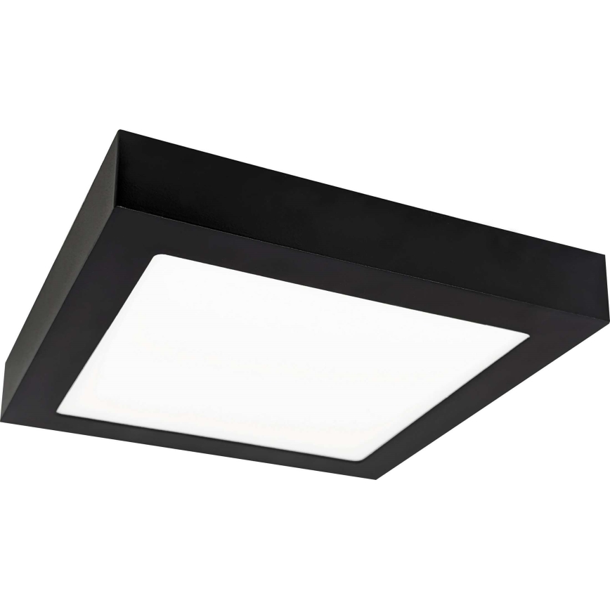 LED Stropné svietidlo FENIX LED/12W/230V 3800K 17 cm