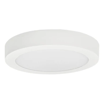 LED Stropné svietidlo FENIX LED/12W/230V 3800K pr. 17 cm snehovo biela