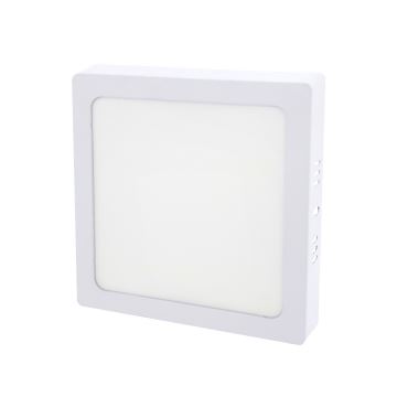 LED Stropné svietidlo LED/12W/230V 2700K