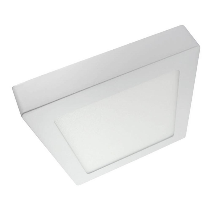 LED Stropné svietidlo LED/12W/230V 4200K