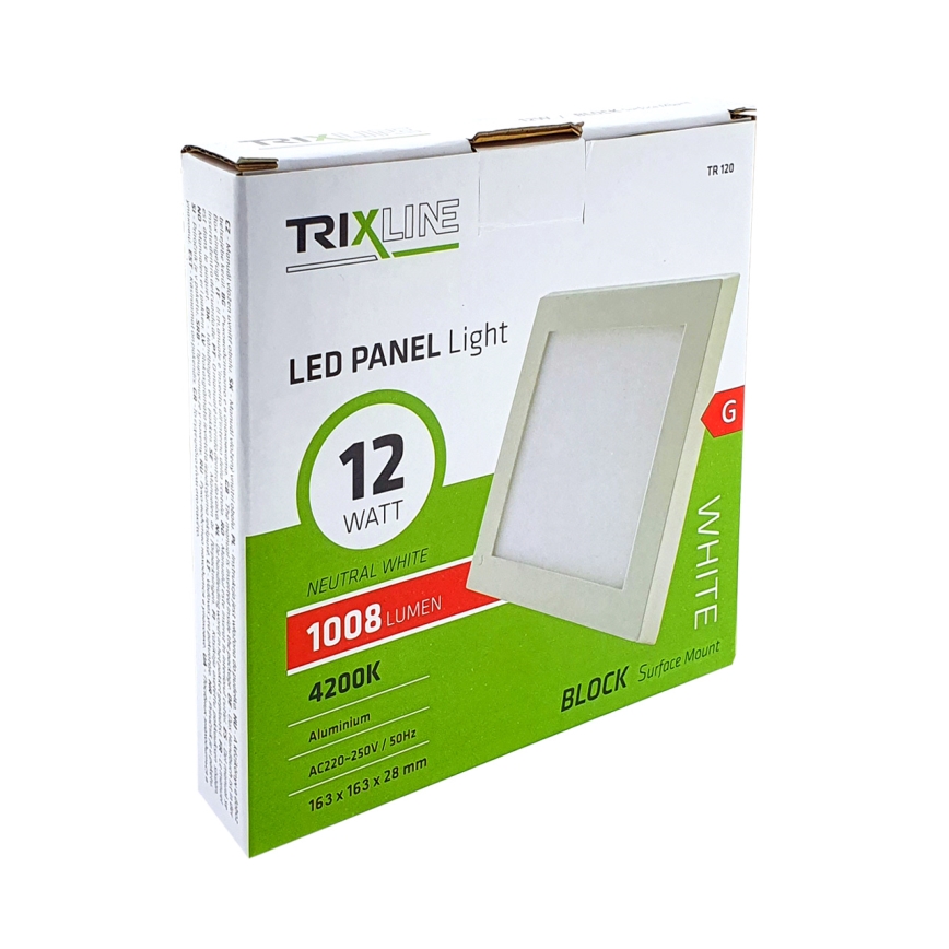 LED Stropné svietidlo LED/12W/230V 4200K