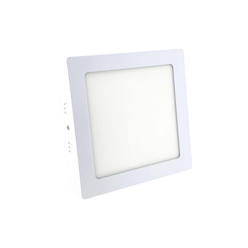 LED Stropné svietidlo LED/12W/230V 6500K