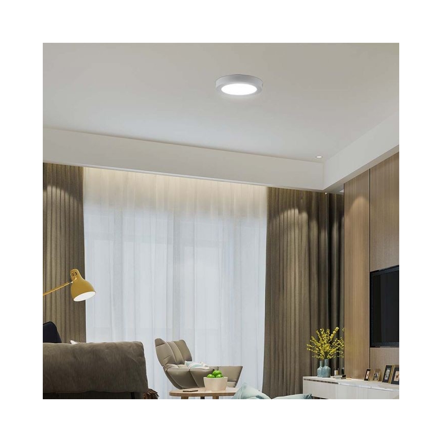 LED Stropné svietidlo LED/24W/230V 3000K