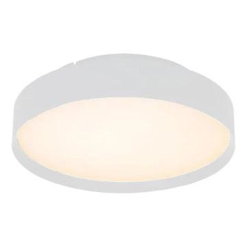 LED Stropné svietidlo LED/40W/230V 3000K pr. 45 cm biela