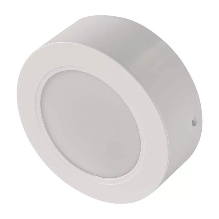 LED Stropné svietidlo LED/9W/230V pr. 12 cm biela