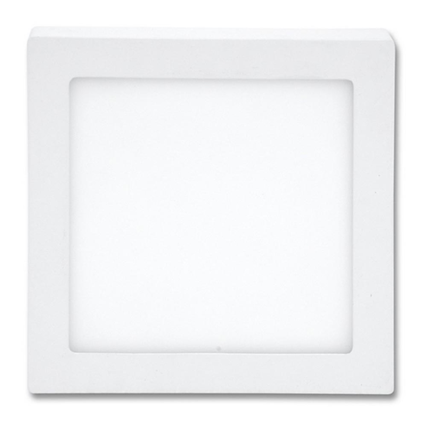 LED Stropné svietidlo RAFA LED/12W/230V 2700K