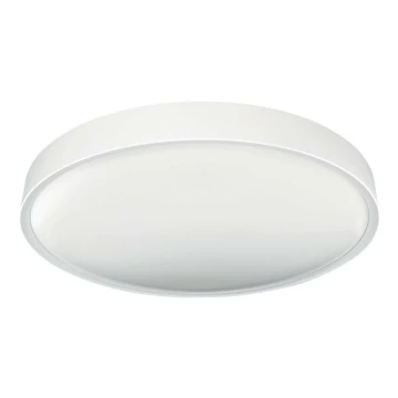 LED Stropné svietidlo SAMER LED/24W/230V 4000K