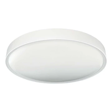 LED Stropné svietidlo SAMER LED/40W/230V 4000K