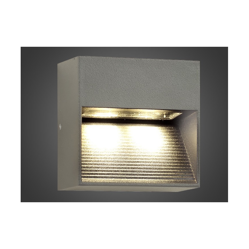 LED Vonkajšie nástenné svietidlo NINION LED/2W/230V IP54