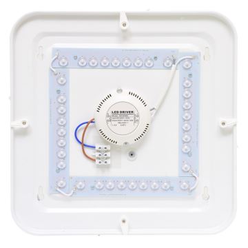 LED Vonkajšie stropné svietidlo LUKA LED/42W/230V IP44