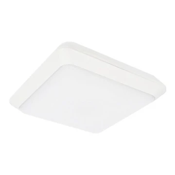 LED Vonkajšie stropné svietidlo TIPO LED/24W/230V IP66