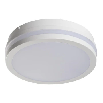 LED Vonkajšie svietidlo BENO LED/18W/230V 4000K biela IP54