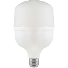 LED Žiarovka T100 E27/30W/230V 6500K
