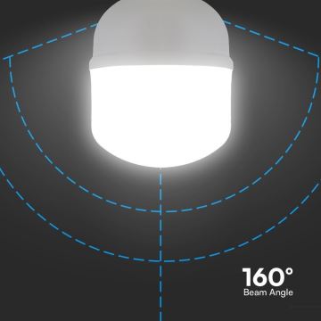 LED Žiarovka T100 E27/30W/230V 6500K