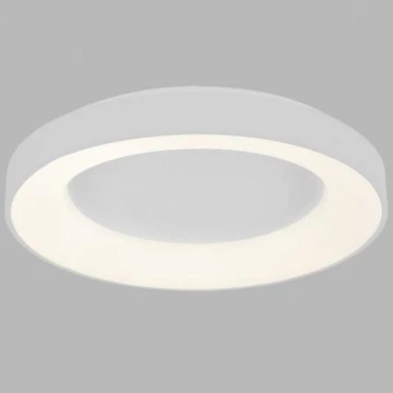LED2 - LED Stropné svietidlo BELLA LED/40W/230V 3000/4000K biela