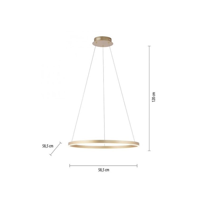 Leuchten Direkt 15394-60 - LED Stmievateľný luster na lanku RITUS LED/28W/230V mosadz