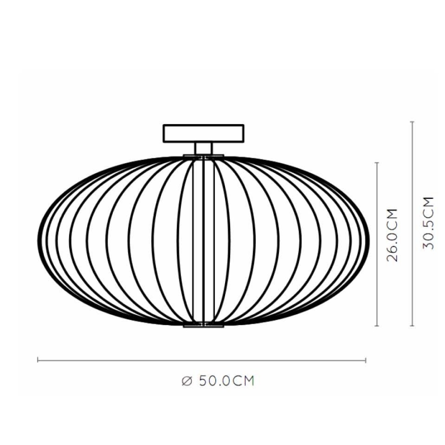 Lucide 20114/50/30 - LED Stmievateľné stropné svietidlo CARBONY LED/5W/230V