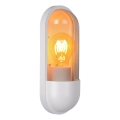 Lucide 29897/01/31 - Vonkajšie nástenné svietidlo CAPSULE 1xE27/15W/230V IP54