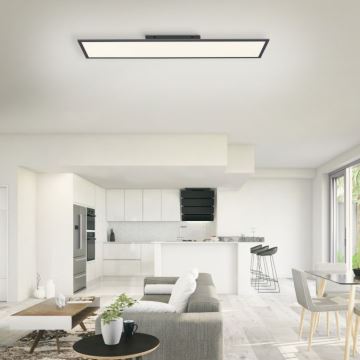 Paul Neuhaus 16533-16-O - LED Stmievateľný prisadený panel FLAT LED/24W/230V 2700-5000K čierna + diaľkové ovládanie