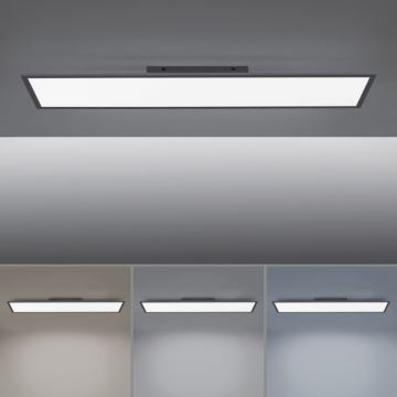 Paul Neuhaus 16533-16-O - LED Stmievateľný prisadený panel FLAT LED/24W/230V 2700-5000K čierna + diaľkové ovládanie