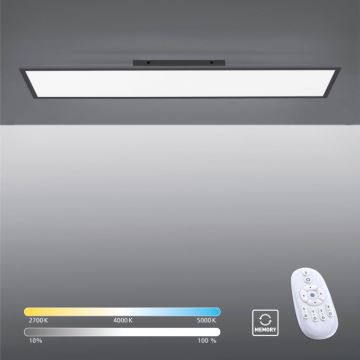 Paul Neuhaus 16533-16-O - LED Stmievateľný prisadený panel FLAT LED/24W/230V 2700-5000K čierna + diaľkové ovládanie