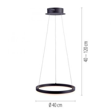 Paul Neuhaus 2381-13 - LED Stmievateľný luster na lanku TITUS LED/28W/230V