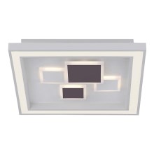 Paul Neuhaus 6283-16 - LED Stmievateľné stropné svietidlo ELIZA LED/30W/230V + LED/18,5W