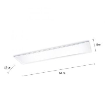 Paul Neuhaus 8112-17 - LED Stmievateľný prisadený panel FLAG LED/35W/230V